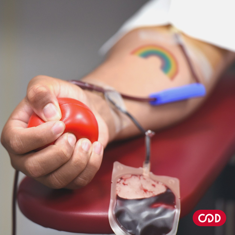 Pessoas LGBTQIA+ podem doar sangue?